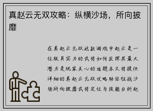 真赵云无双攻略：纵横沙场，所向披靡